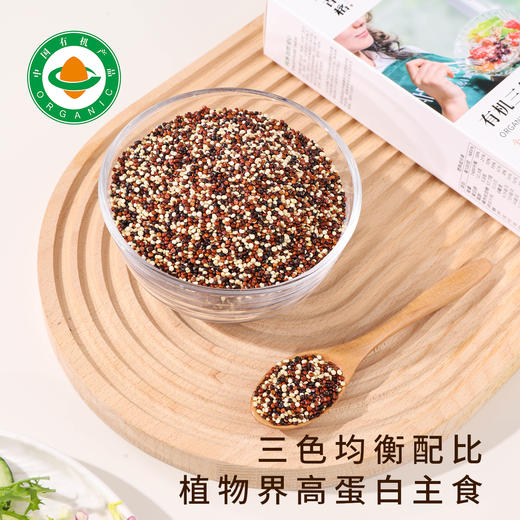 北纬纯净食品|38°玻利维亚高原有机三色藜麦500g 商品图1