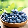 【花香蓝莓】 澄江蓝莓 高原珍宝  清甜爽脆 商品缩略图1