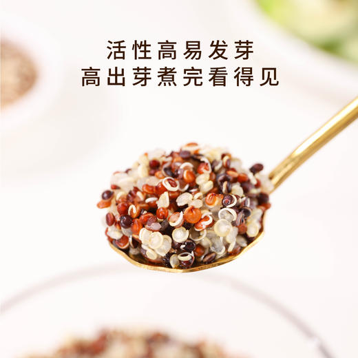北纬纯净食品|38°玻利维亚高原有机三色藜麦500g 商品图3