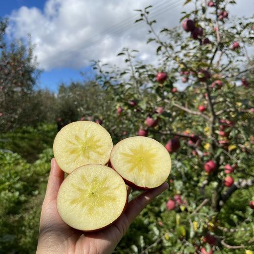 四川老树生态冰糖心丑苹果  5/8斤 商品图2