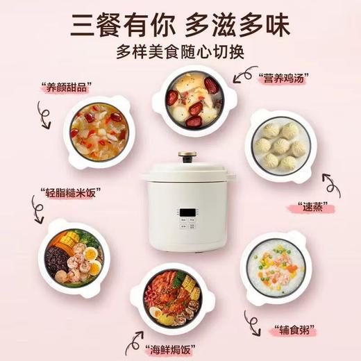 BRUNO第二代迷你电饭煲1-2-3人家用多功能小型智能1.2L儿童电饭锅 商品图2