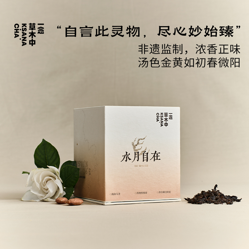 水月自在·传统铁观音 | 私房清饮系列 | 100g原叶 | 乌龙茶类