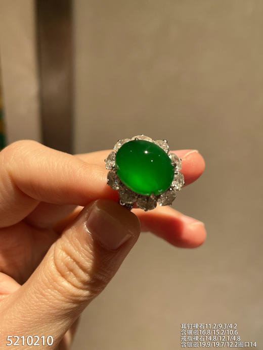 老坑玻璃种帝王绿蛋面套装【5210210】具体价格微信咨询 商品图5