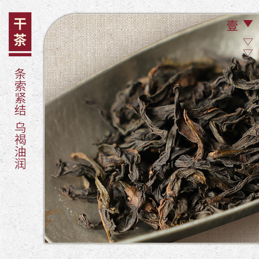 【山纯限品】2025年一等奖水仙17g 商品图2