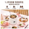 BRUNO第二代迷你电饭煲1-2-3人家用多功能小型智能1.2L儿童电饭锅 商品缩略图4