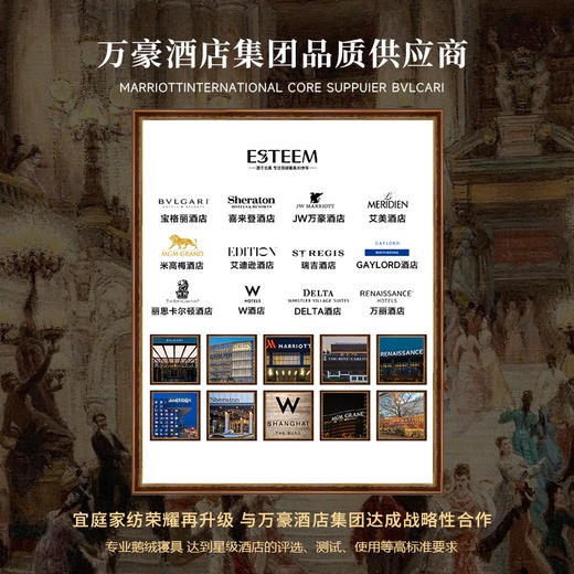 守望者可水洗95鹅绒枕 商品图3