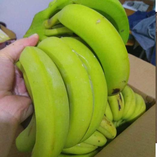 广西高山甜香蕉 软糯香甜·回味余甘 商品图3