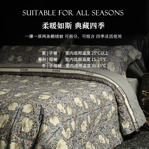 莫里斯典藏家可水洗鹅绒被两件套 商品图3