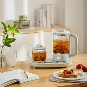 小熊养生壶YSH-C06N1—rxs