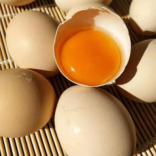 有机生态散养黑凤鸡 叶黄素土鸡蛋 商品图1