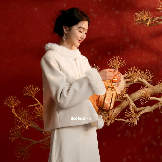 三彩【霜华轻染】2025冬季新款呢大衣绣花盘扣毛呢外套宽松短款C 商品图1