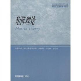 矩阵理论 黄廷祝 高等教育出版社 9787040119428