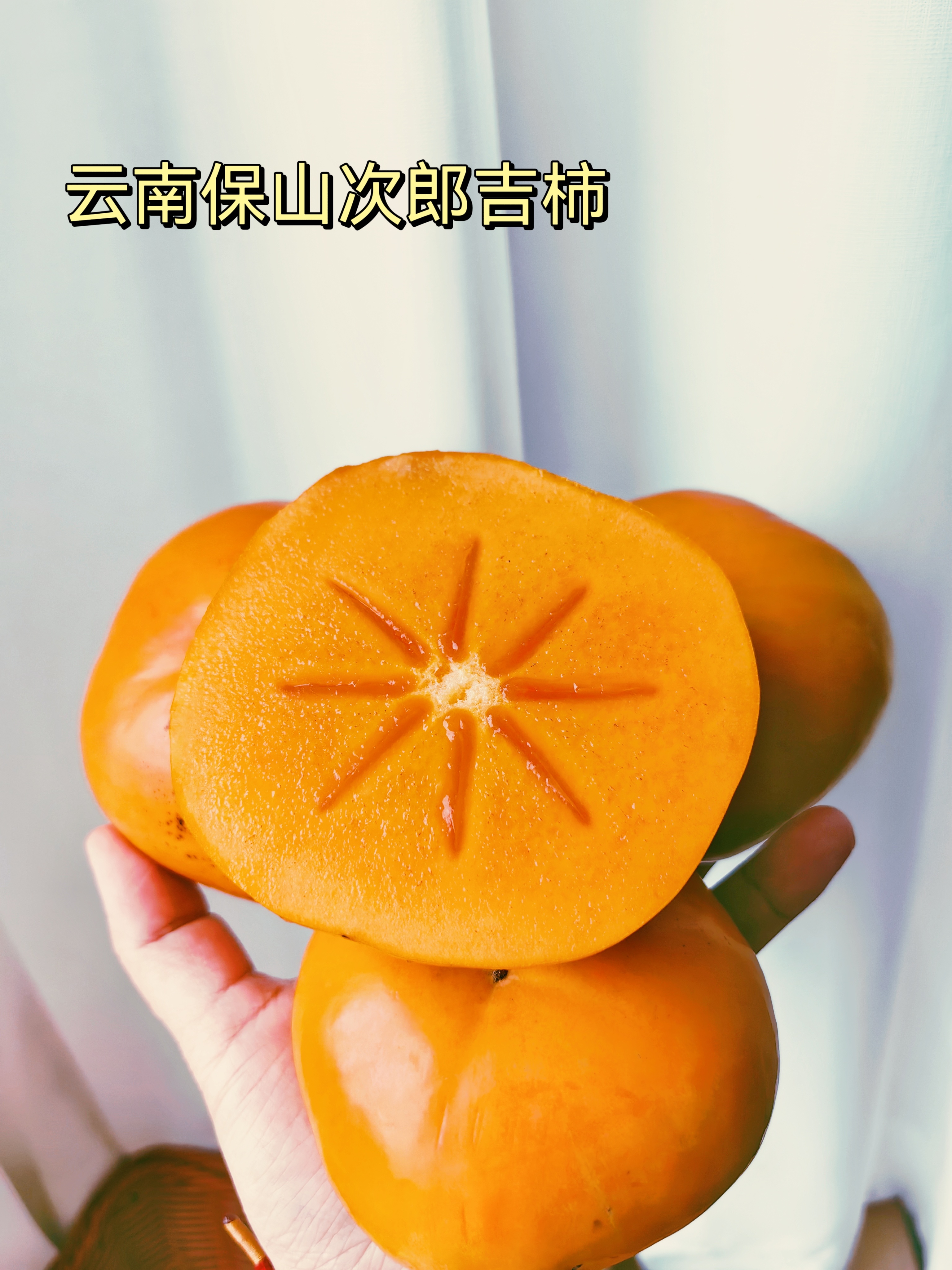 【云南保山次郎吉柿】云南2000米云顶脆柿园！日本次郎吉品种！1枚顶14个苹果的VC王者，糖度18+！柿子界的“玛莎拉蒂”日本进口品种！颗颗脆甜