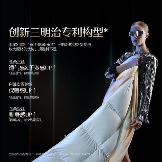 水星家纺MERCURY 【限定·品牌直发】床上用品水星X·金桑蚕丝波兰鹅绒被2489420 商品图4