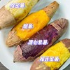 四拼流油蜜薯|香！糯！甜！一次吃够四种风味 商品缩略图2
