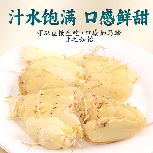 鲜玉竹  榨汁食材    周日和法定节假日不发货 商品图8