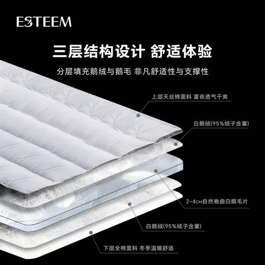 双温双感365D鹅绒功能床垫 商品图4