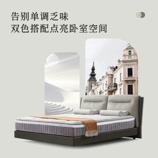 AF9907真皮床架 商品图1