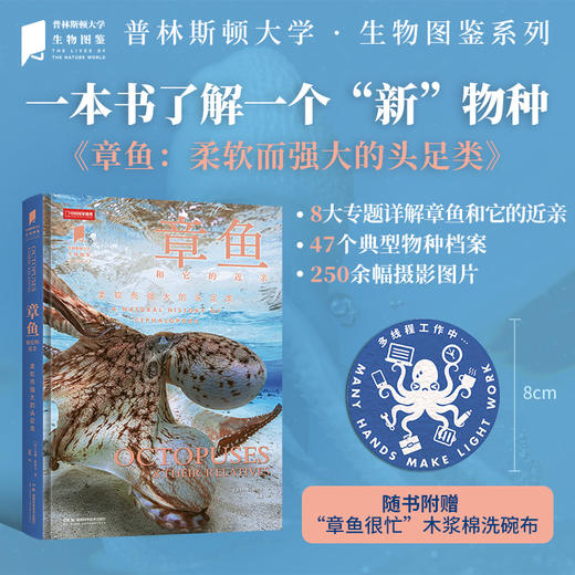 普林斯顿大学生物图鉴系列：章鱼，超250张图片，认识海洋中的高智商生命！深入探讨头足类生物的生理结构、行为模式、生态习性等 鱿鱼 乌贼科普图书 商品图0