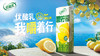 伊利优酸乳嚼柠檬轻乳果汁饮品240g*10盒 商品缩略图3