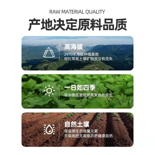 无糖苦荞全蛋沙琪玛213g 商品图4