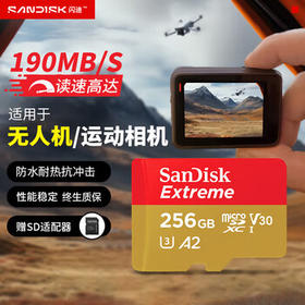 闪迪（SanDisk）256GB TF(MicroSD)内存卡 4K极速金卡A2 V30 U3行车记录仪 运动相机无人机 监控存储卡 读190MB/s