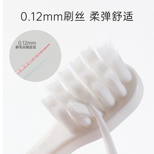 【积分兑换】BEBETOUR 儿童1-3岁+长柄牙刷  T453 商品图3