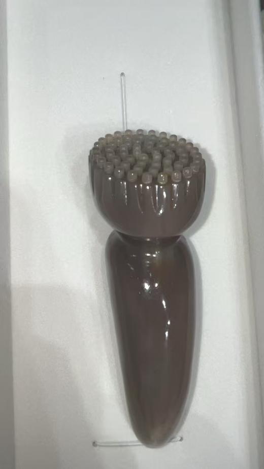 鱼尾莲蓬 商品图0