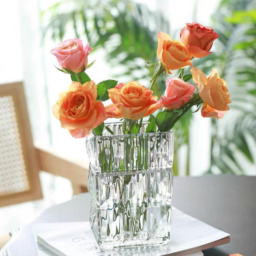 秒杀特价：网红加厚卢索水晶玻璃花瓶19.9 商品图13
