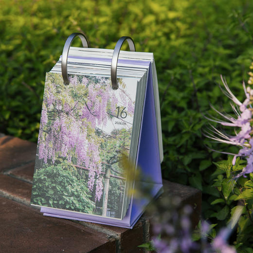 2026年「迎」日历 （超治愈读书台历 文艺风格创意趣味日历 桌面日历小摆件  创意礼品 ） 商品图1