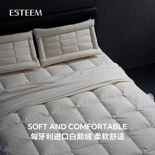 无染之境生态有机棉白鹅绒二合一子母床垫 商品图3