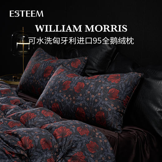 莫里斯传奇可水洗鹅绒枕 商品图0