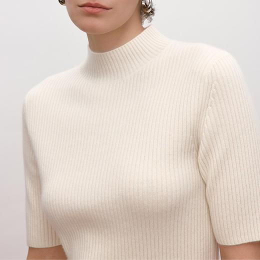 东黎 • 你本珍贵 万物共生-短袖 小山羊绒女士秋季抽条高领半袖 5488 商品图7