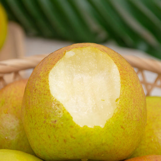 【产地直发】玉露香梨 礼盒装 多规格 商品图4