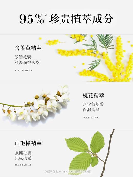 Leonor Greyl 法国LG更生活化精华 商品图2