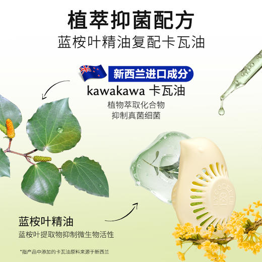 绽家多用途香氛球（6颗） 商品图1