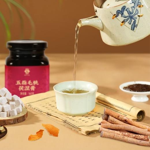 李良济五指毛桃茯湿膏160g/瓶 商品图1