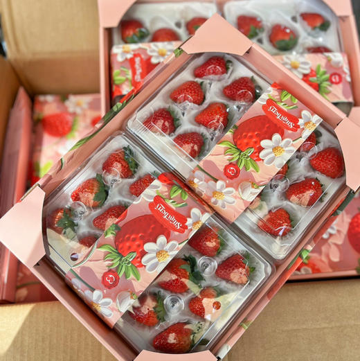 【草莓】辽宁丹东草莓，成熟度好，香甜味足，入口很好吃！ 商品图1