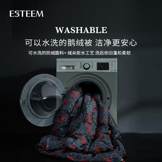 莫里斯传奇可水洗鹅绒被两件套 商品图3
