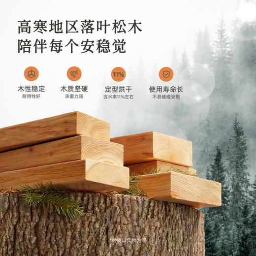 AF9907真皮床架 商品图3