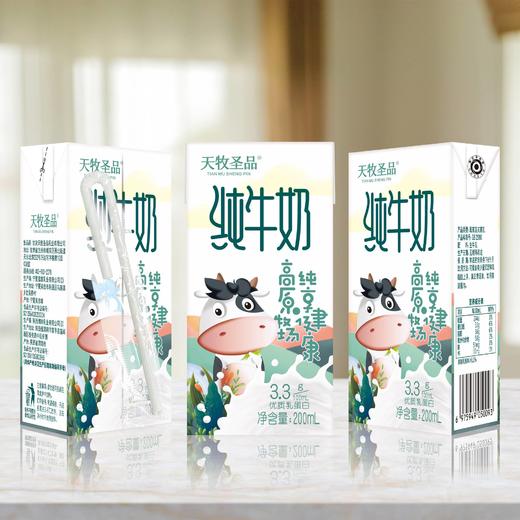 天牧圣品优牧纯牛奶200ml*10/四提 商品图5