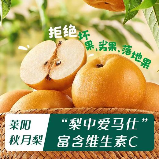 英氏婴幼儿秋月梨膏  商品图3