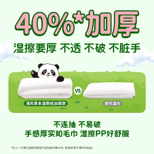 【官方自营】清风熊猫系列湿厕纸40片6包整箱装 商品图1