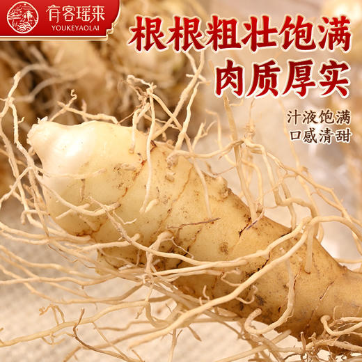 鲜玉竹  榨汁食材    周日和法定节假日不发货 商品图4