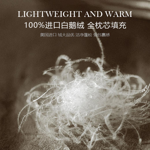 守望者可水洗95鹅绒枕 商品图2