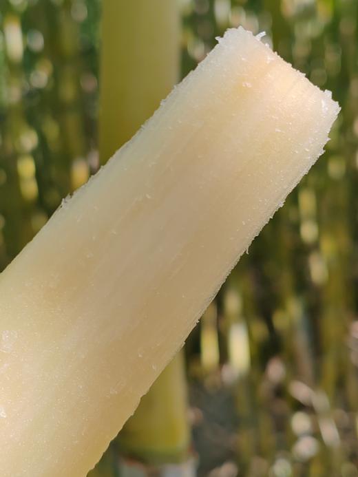 【云南18°の脆皮黄金甘蔗】果蔗界的顶级“爱马仕”❗来自中缅边境-云南陇川，口感秒杀紫皮甘蔗！平均糖度18度，只取甘蔗中间段，只选高品质一级大果 商品图3