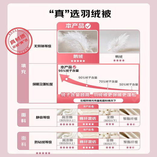 斯诺曼Snowman【品牌直发】 抑菌静音羽绒被芯95%鹅绒被保暖加厚冬被6201572 商品图1