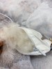 松植屋魅格子母鹅绒被精选95白鹅绒大朵羽绒被 一被四季可用、静音防羽面料→不跑绒无异味 商品缩略图6