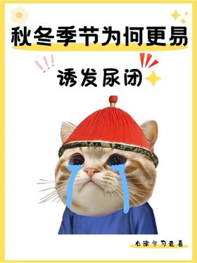 秋冬季节为何更易诱发尿闭？