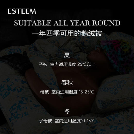 菲尔德可水洗鹅绒被两件套 商品图3